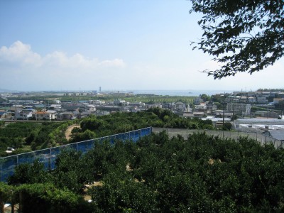鳥居近辺からの眺め
