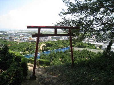赤い鳥居
