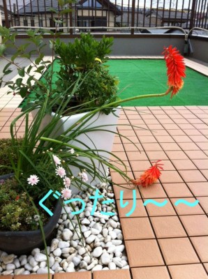 折れた～